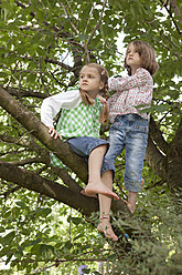 Deutschland, Bayern, München, Mädchen klettern auf Baum - RBF000791