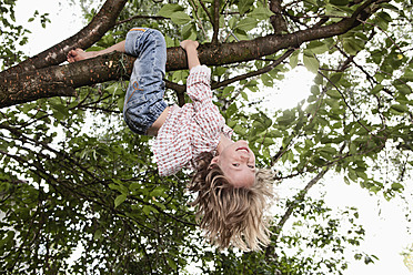 Germany, Bavaria, Munich, Girl hanging on tree, smiling - RBF000792