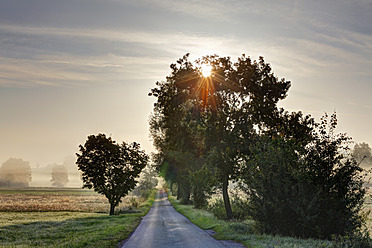 Deutschland, Bayern, Oberbayern, Rupertiwinkel, Abtsdorf, Blick auf Straße mit Bäumen am Morgen - SIEF002016