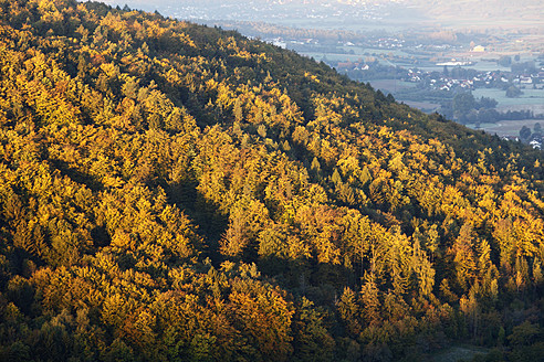 Deutschland, Bayern, Franken, Oberfranken, Fränkische Schweiz, Blick auf Berg mit Herbstwald - SIEF002030