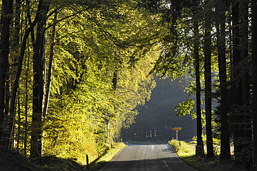 Deutschland, Bayern, Franken, Oberfranken, Fränkische Schweiz, Burggailenreuth, Blick auf Landstraße mit Bäumen - SIEF002032