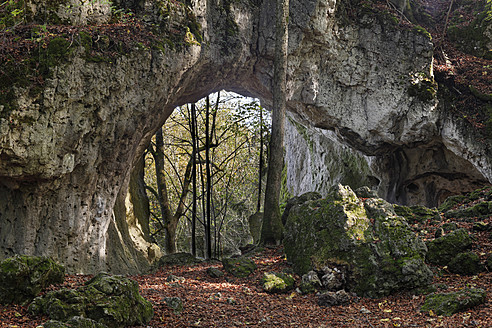 Deutschland, Bayern, Franken, Oberfranken, Fränkische Schweiz, Blick auf den Schwingbogenfelsen bei Neudorf - SIEF002034