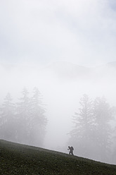 Deutschland, Bayern, Oberbayern, Wanderer wandern auf Berg im Nebel - SIEF002055