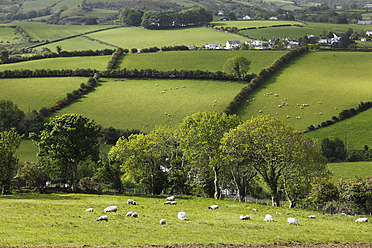 Vereinigtes Königreich, Nordirland, County Antrim, Blick auf Felder Landschaft - SIEF002095