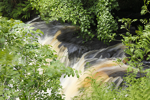 Vereinigtes Königreich, Nordirland, County Antrim, Blick auf den Glenariff River im Glenariffe Forest Park - SIEF002101