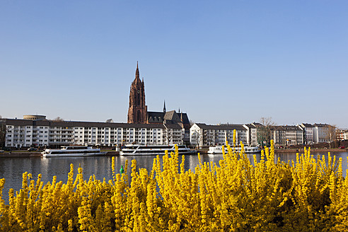 Deutschland, Frankfurt, Blick auf Kaiserdom St. Bartholomäus und Fluss mit Ausflugsschiff - FOF003776