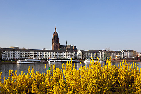 Germany, Frankfurt, View of Kaiserdom St Bartholomaus and river with excursion boat - FOF003776