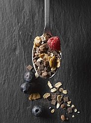 Cereal with fruits and chocolate in spoon, close up - KSWF000776