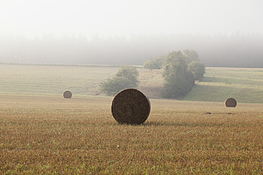 Deutschland, Ansicht eines Strohballens im Herbst - MSF002543