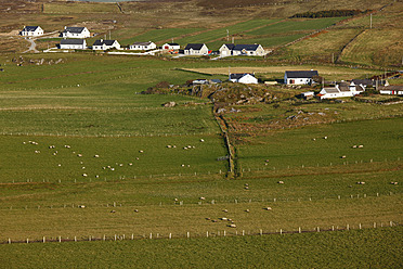 Irland, Grafschaft Donegal, Blick auf Ballyhillin bei Malin Head - SIEF002150