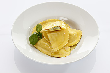 Stuffed pasta in plate on white background - CSF015574