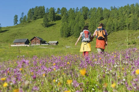 Österreich, Salzburg, Pärchen geht durch Almwiese, lizenzfreies Stockfoto