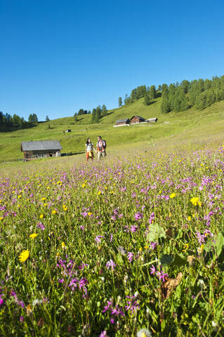 Österreich, Salzburg, Pärchen geht durch Almwiese, lizenzfreies Stockfoto