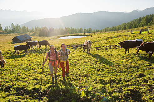 Austria, Salzburg, Couple walking through alpine meadow - HHF003789