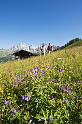 Österreich, Salzburg, Filzmoos, Pärchen geht durch Wiese - HHF003815