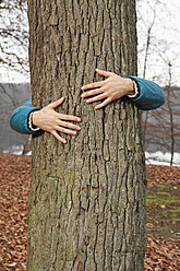 Germany, Berlin, Wandlitz, Young man hugging tree - WESTF018251