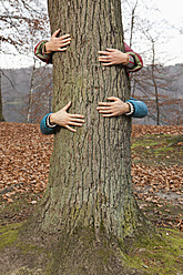 Germany, Berlin, Wandlitz, Couple hugging tree - WESTF018252