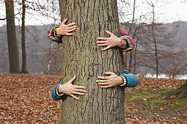 Germany, Berlin, Wandlitz, Couple hugging tree - WESTF018253