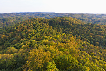 Deutschland, Thüringen, Eisenach, Blick auf den Thüringer Wald - WDF001183