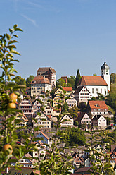 Deutschland, Baden Württemberg, Altensteig, Blick auf die Stadt - WDF001136