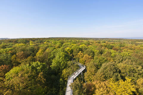 Deutschland, Thüringen, Hainich, Ansicht des Nationalparks Hainich, lizenzfreies Stockfoto