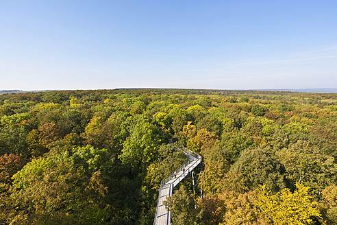 Deutschland, Thüringen, Hainich, Ansicht des Nationalparks Hainich - WDF001132