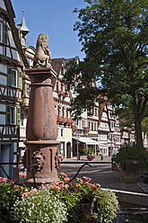 Deutschland, Baden Württemberg, Calw, Blick auf den Marktbrunnen am Marktplatz - WDF001109