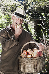 Austria, Salzburg, Flachau, Mature man with apples in garden - HHF003845