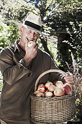 Österreich, Salzburg, Flachau, Älterer Mann mit Äpfeln im Garten - HHF003845
