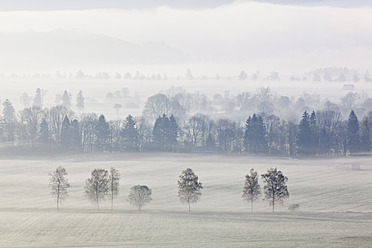 Germany, Bavaria, View of foggy landscape - FOF003844
