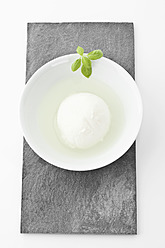 Mozzarella cheese in bowl with basil - MAEF004288