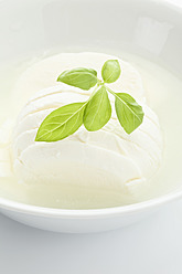 Mozzarella cheese in bowl with basil, close up - MAEF004294