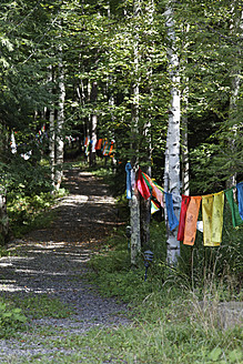 USA, New York, Schotterpiste in Richtung Mount Overlook - ANBF000079