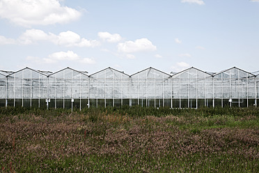 Niederlande, Zeeland, Ansicht eines Glashauses - ANB000038