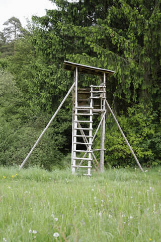 Deutschland, Bayern, Hochsitz im Wald, lizenzfreies Stockfoto