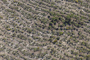 Spanien, Andalusien, Blick auf Reifenspur im Wald - RUE000784