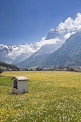 Schweiz, Blick auf Engelberg mit Titlisgletscher - MSF002645