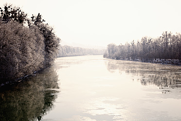 Germany, Bavaria, Altenmarkt, View of River Inn with trees - MSF002647