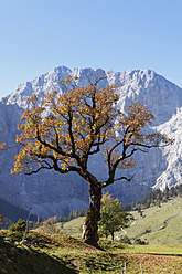 Österreich, Tirol, Blick auf das Karwendelgebirge im Herbst - SIEF002323