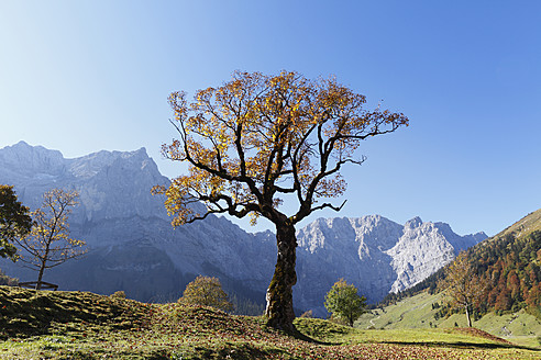 Österreich, Tirol, Blick auf das Karwendelgebirge im Herbst - SIEF002324