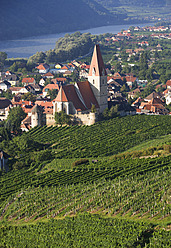 Österreich, Wachau, Weissenkirchen, Blick auf Wehrkirche und Weinberg - WWF001919