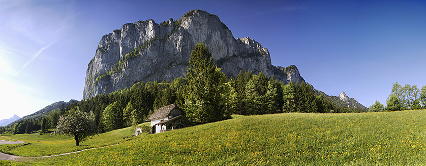 Österreich, Salzkammergut, Mondseeland, Blick auf den Berg - WWF001954