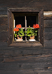 Österreich, Mondsee, Blumentopf am Fenster im Freilichtmuseum - WWF002013