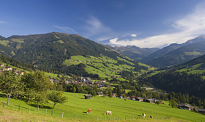 Austria, Tyrol, View of Alpbachtal Valley - WWF002019