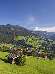 Austria, Tyrol, View of Alpbachtal Valley and Alpach - WWF002020
