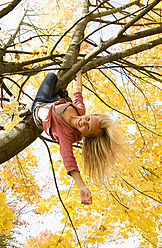 Austria, Teenage girl hanging on maple tree in autumn - WWF002167