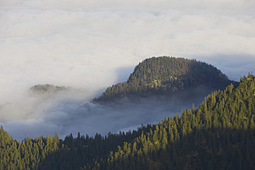 Germany, Bavaria, Walchensee RegionView of foggy bavarian alps - MIRF000356