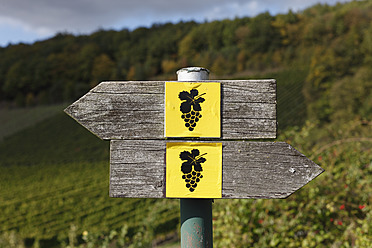 Germany, Bavaria, Oberschwarzach, Sign post for wine hiking trail - SIEF002395