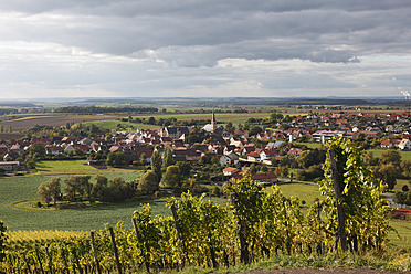 Deutschland, Bayern, Oberschwarzach, Blick auf Weinberg und Gebäude - SIEF002393