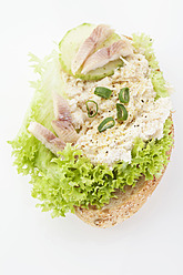 Forellenfilet-Tartar-Sandwich auf weißem Hintergrund, Nahaufnahme - MAEF004469